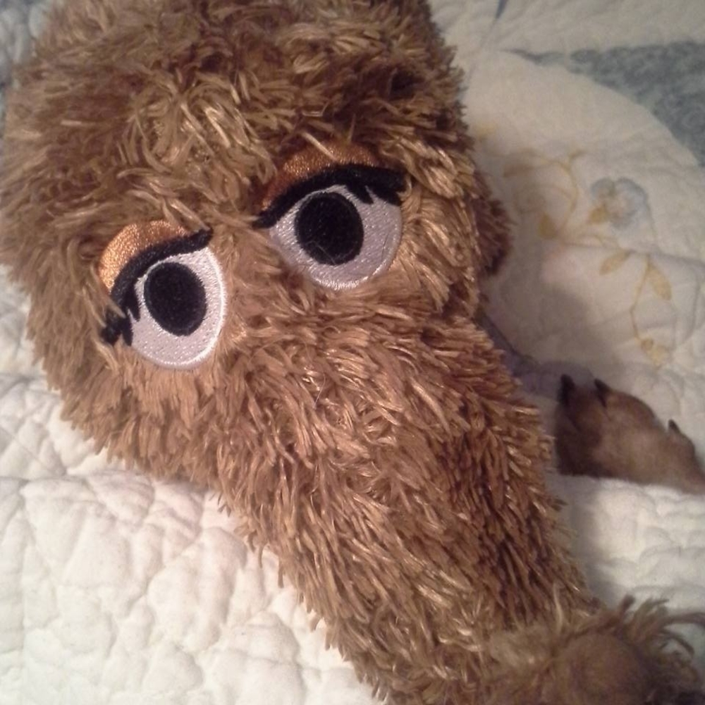 Meet your Posher, Carol